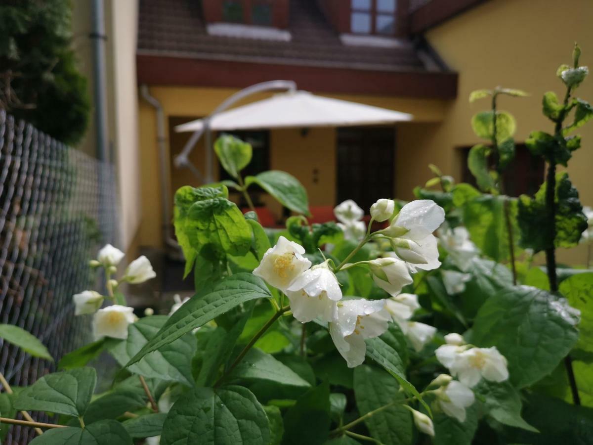 Hella Vendeghaz Hotel Eger Buitenkant foto