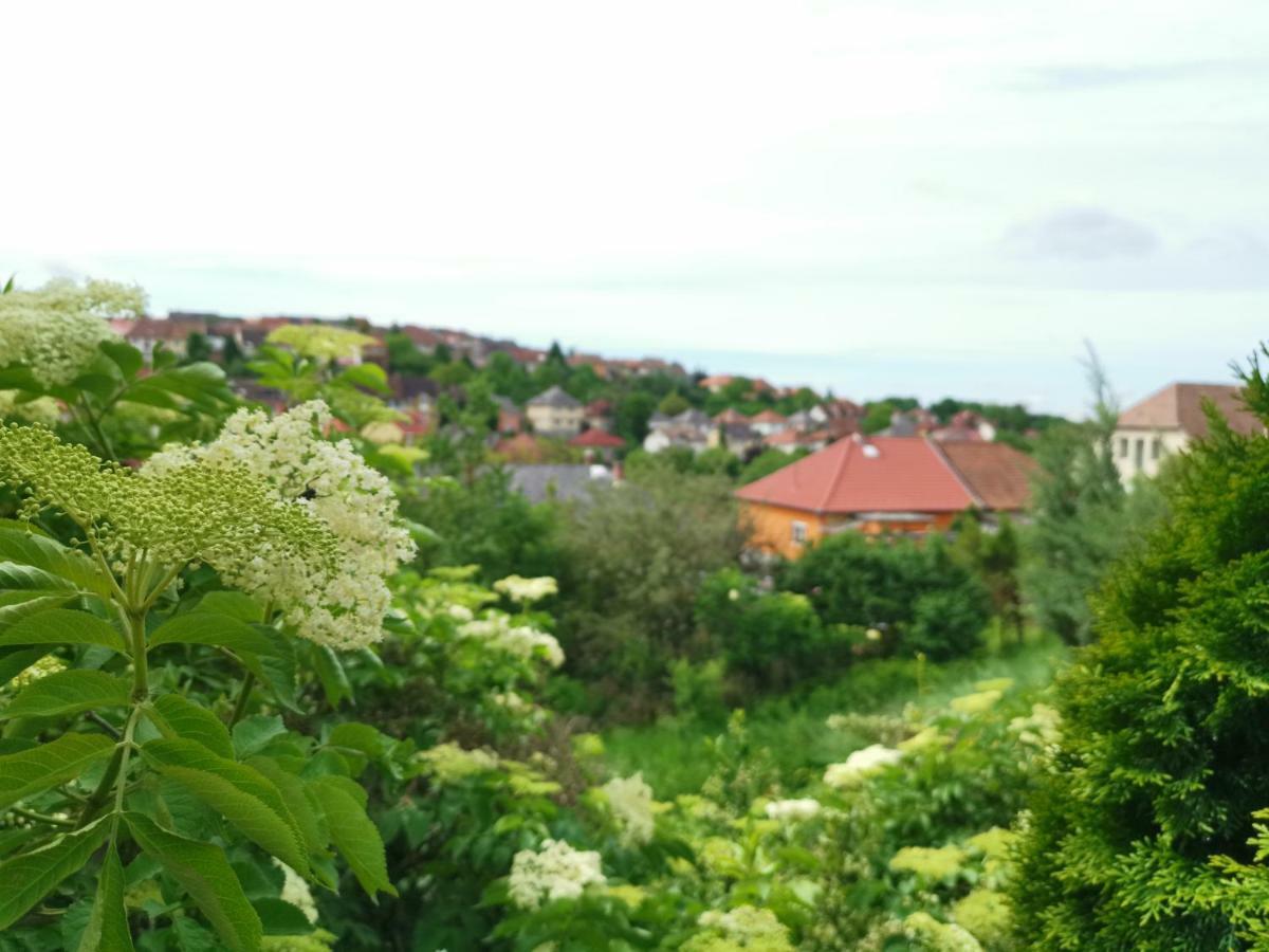 Hella Vendeghaz Hotel Eger Buitenkant foto